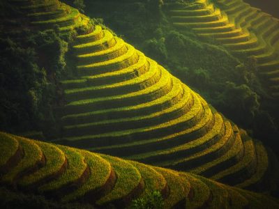 Mesmerizing-of-Sapa-rice-field